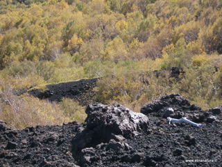nte Zappinazzo-04-11-2012 11-01-38